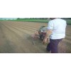 农用开沟培土机农用开沟培土机视频农用开沟培土机配件旋耕机