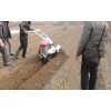 新型40厘米开沟机最先进大葱移栽机视频开沟培土机的价格